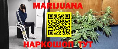 mdpv Можга