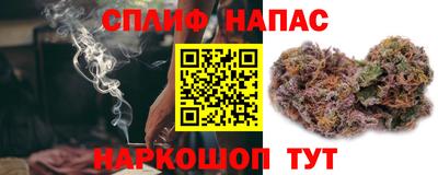 mdpv Можга
