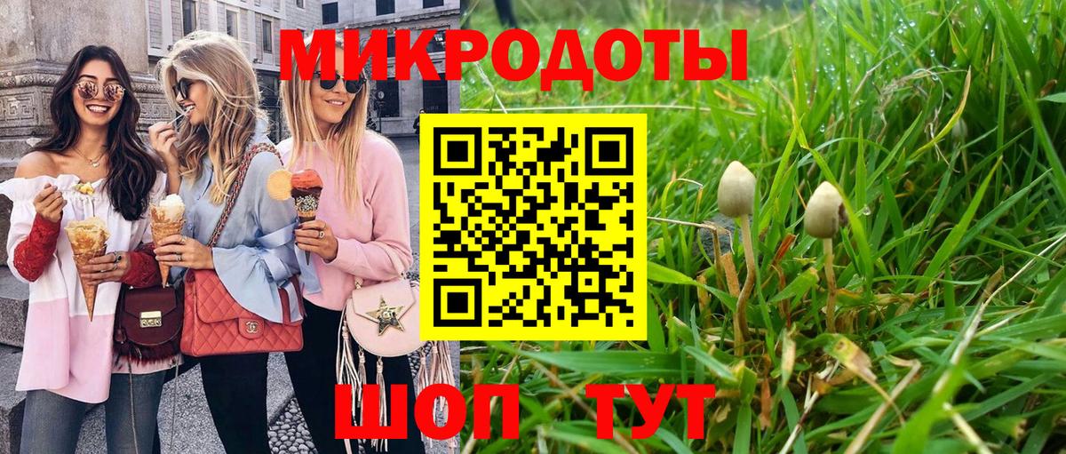 Псилоцибиновые грибы мицелий Выкса